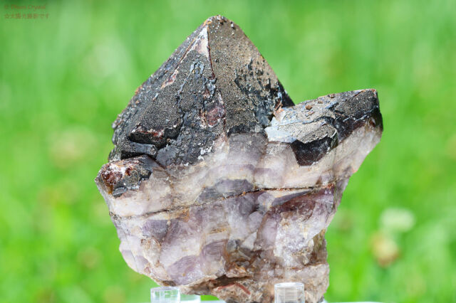 オーラスターライト