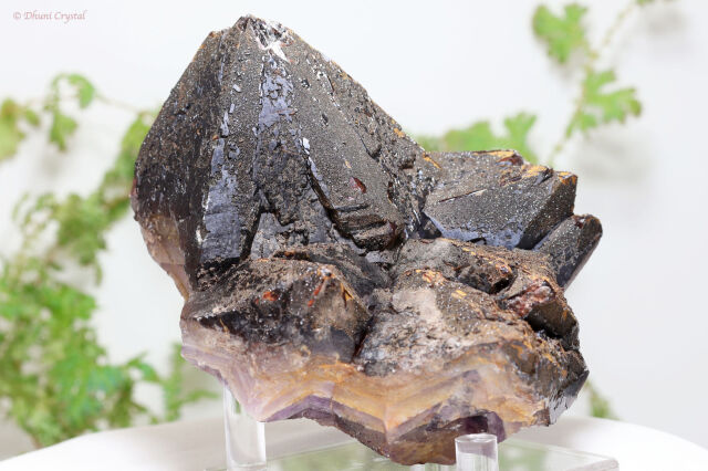 オーラスターライト