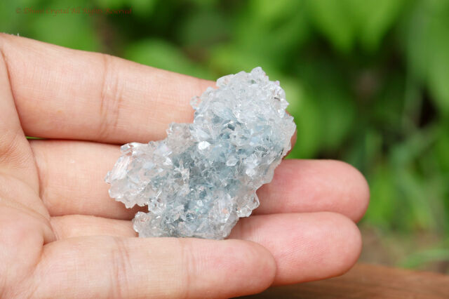 アポフィライト原石(A985)