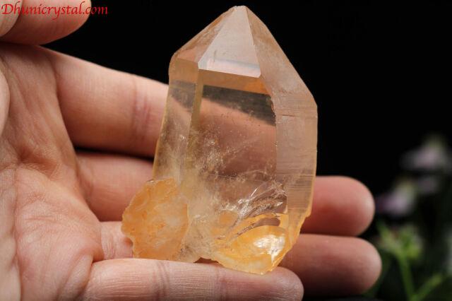 タンジェリン・レムリアン(D550)