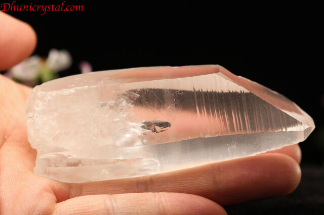 レムリアンシードクリスタル/ポイント(D557)