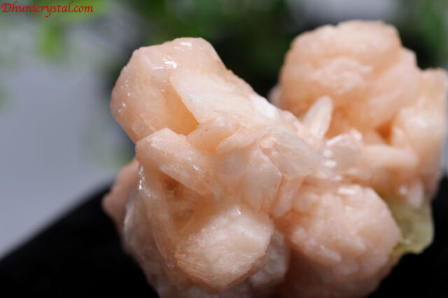 ピンクスティルバイト＆グリーンアポフィライト(D733)