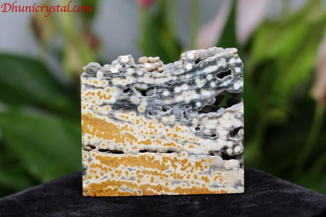 オーシャンジャスパー オーシャンジャスパー/スライス(D743）