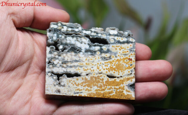 オーシャンジャスパー/スライス(D743）