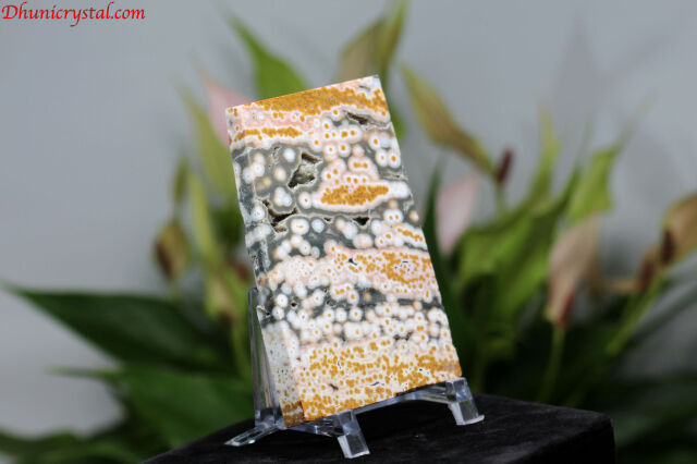 オーシャンジャスパー/スライス(D744）