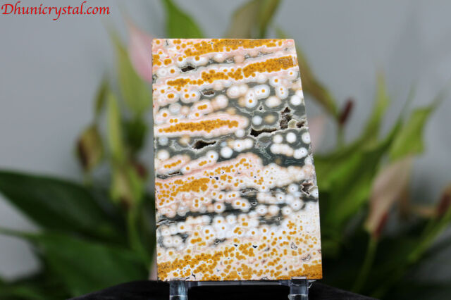 オーシャンジャスパー/スライス(D744）