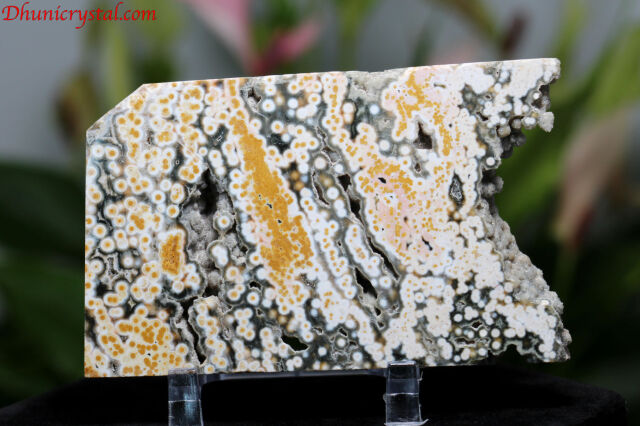 オーシャンジャスパー/スライス(D745）