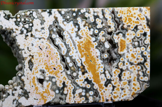 オーシャンジャスパー/スライス(D745）