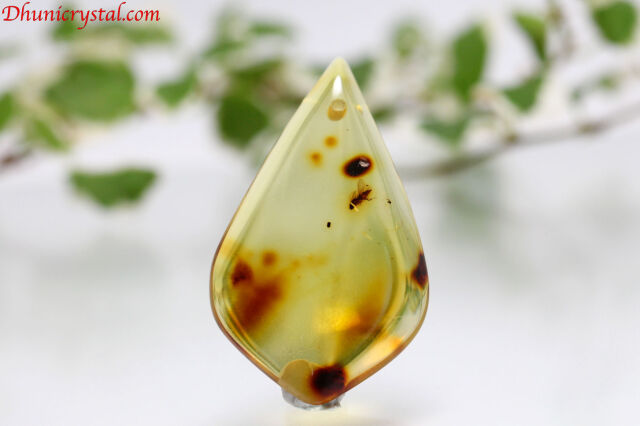 コロンビアンアンバー