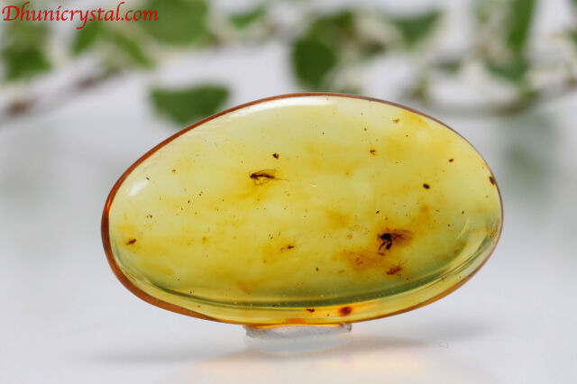 コロンビアンアンバー