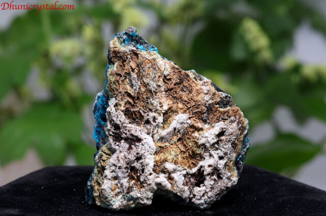 水晶イルカ、クリソコラ 水晶イルカ、クリソコラ 水晶イルカ、クリソコラ 【公式通販】