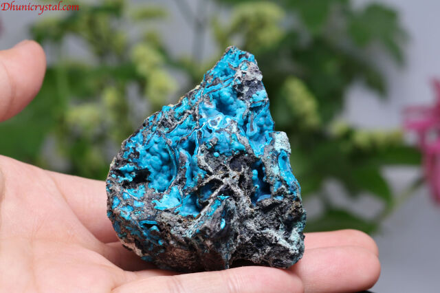 水晶イルカ、クリソコラ 水晶イルカ、クリソコラ 水晶イルカ、クリソコラ 【公式通販】