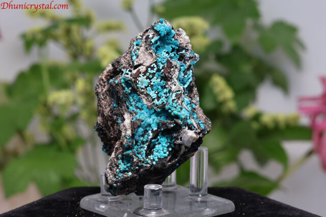 クリソコラ/原石(D866)