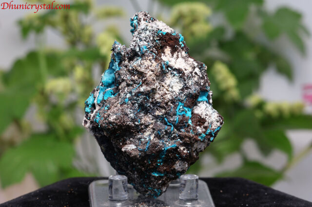 クリソコラ/原石(D866)