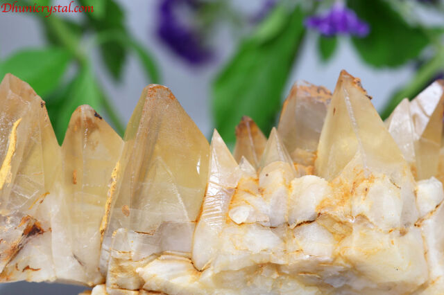 d907-5.jpg?t=20240715172557