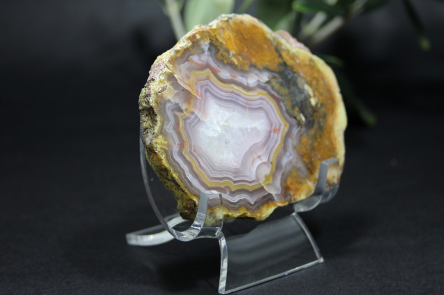 f153-3.jpg?t=20190302154409