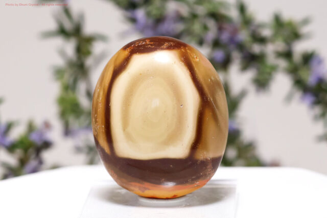 ポリクロームジャスパー（FF112）