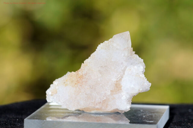 ホワイト・スピリットクォーツ/カクタスクォーツ(FF12)