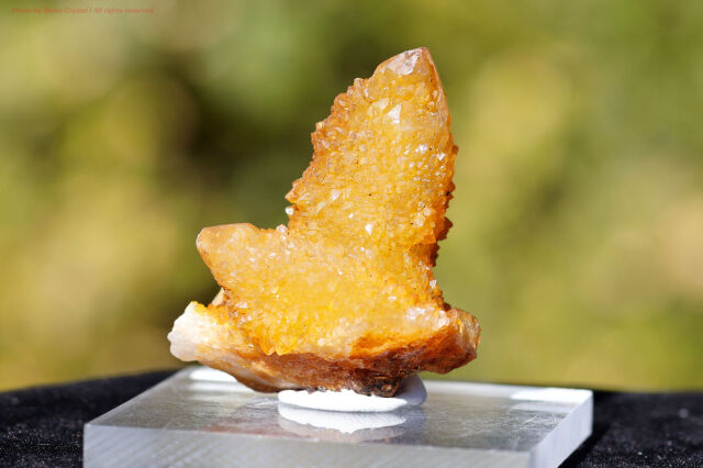 ゴールデンヒーラー・スピリットクォーツ/カクタスクォーツ(FF15)