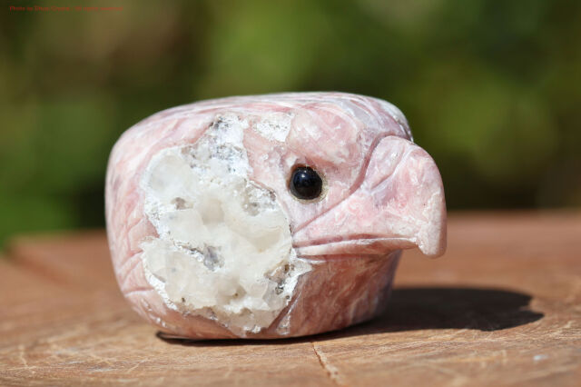 ピンクオパール・イーグル(FF155)