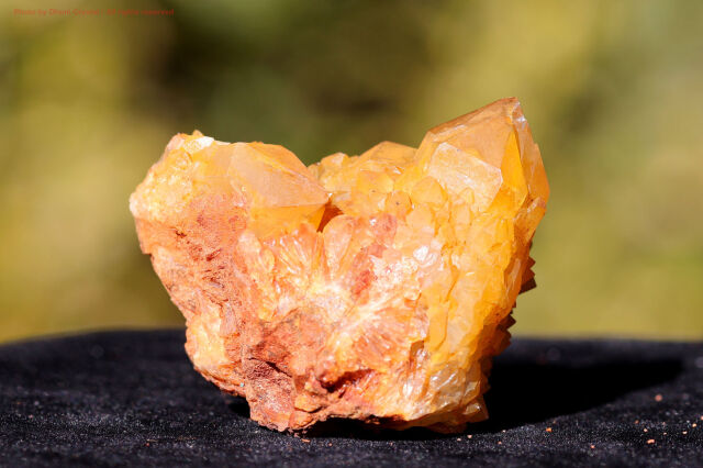 ゴールデン・スピリットクォーツ/カクタスクォーツ(FF16)