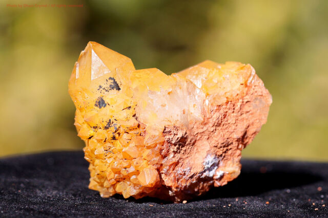 ゴールデンヒーラースピリットクォーツ 原石 カクタスクォーツ 群晶 天然石