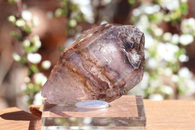 シャンガン・エレスチャル/ジンバブエ産エレスチャル/希少(FF160)