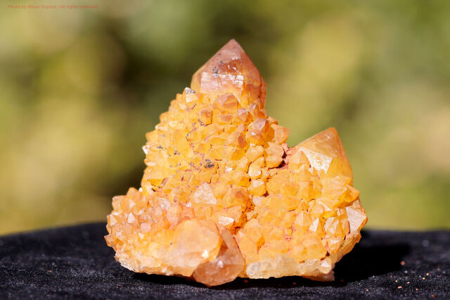 ゴールデンヒーラー・スピリットクォーツ/カクタスクォーツ(FF17)