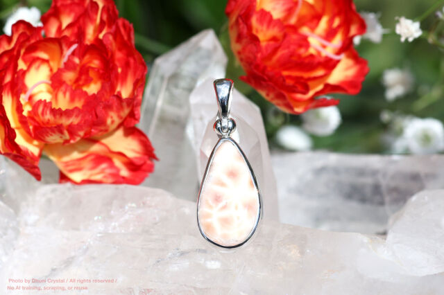 スターボーンペンダント【トムソナイト/ピンクラリマー】(FF223)