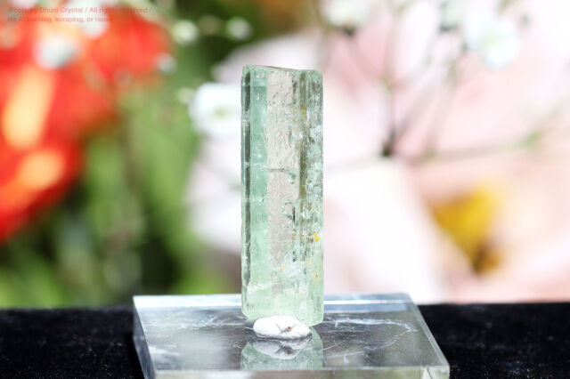 ヘリオドール／柱状結晶(FF236)