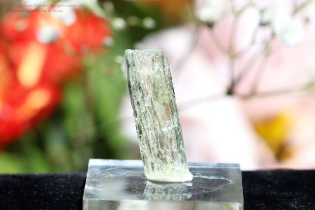 ヘリオドール／柱状結晶(FF237)