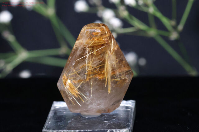 天然石　ゴールドルチルクォーツC22㎜　虹、貫通穴あり ルチルクォーツ 天然石 金針水晶 ゴールドアクセサリー