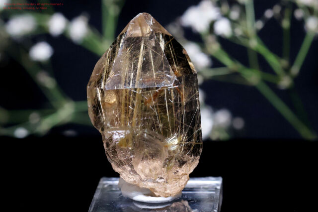 ルチルクォーツ/原石(FF257)