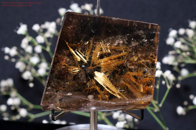 スモーキー・サンルチル(FF260)