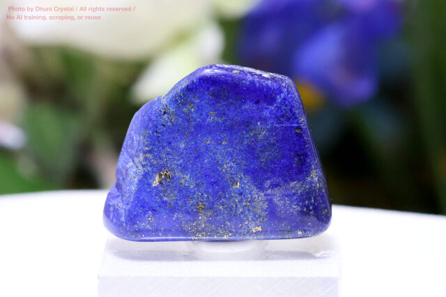 原石と磨きが楽しめるラピスラズリ(FF294)