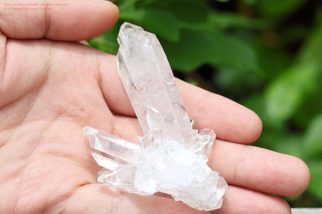 ヴィジョンクォーツ ゼッカデソウザ水晶 ブラジル産 天然水晶クリスタル