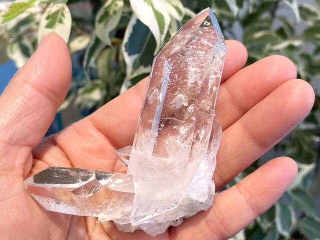 ゼッカデソウザ水晶 ヴィジョンクォーツ ブラジル産 高透明クリスタル