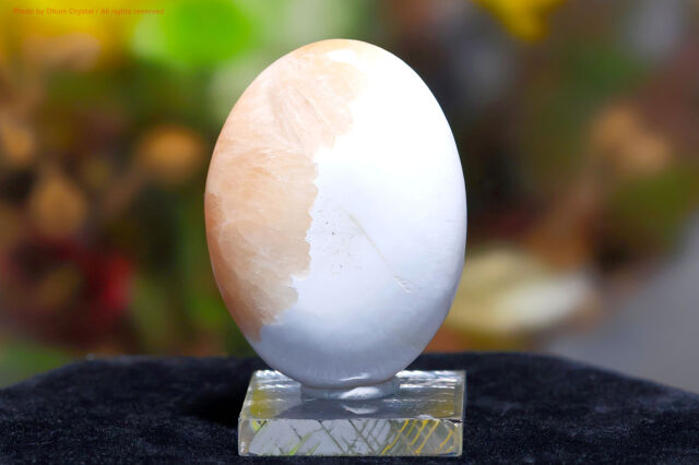 スコレサイト＆スティルバイト(FF57)