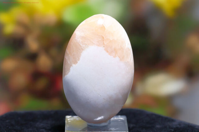 スコレサイト＆スティルバイト(FF58)