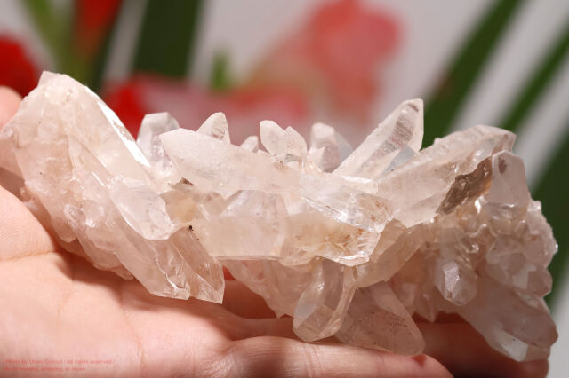 ヒマラヤ水晶クラスター 天然水晶 浄化のクリスタル