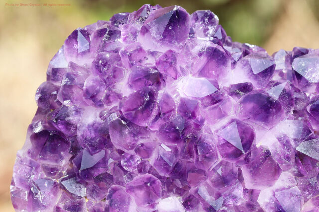 アメジストクラスター 原石 浄化と安らぎをもたらす天然石