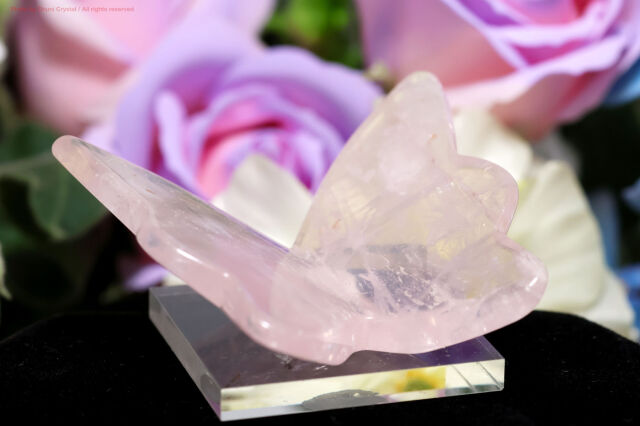 ローズクォーツ/蝶(FF88)