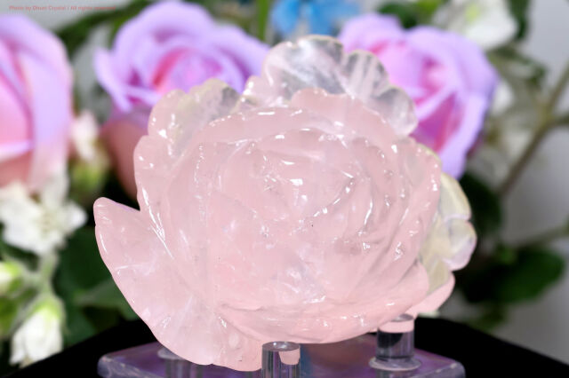 ローズクォーツ 愛と癒しをもたらす優しいピンクの天然石