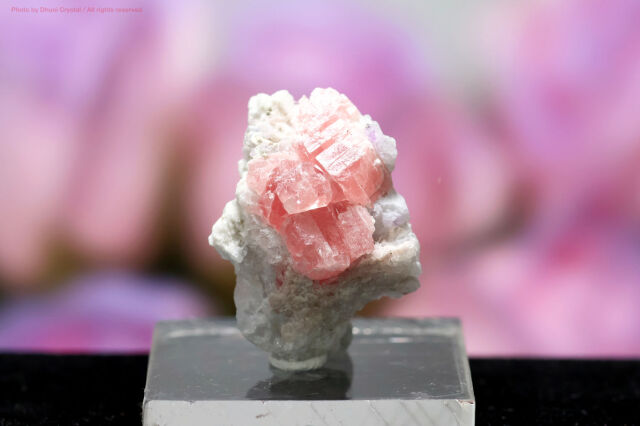 インカローズ/ロードクロサイト(FF91)