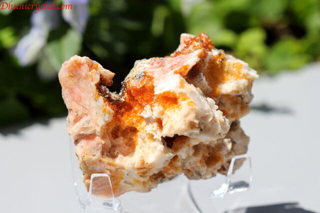 オレンジカルサイト