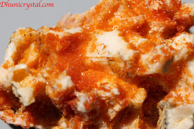 オレンジカルサイト