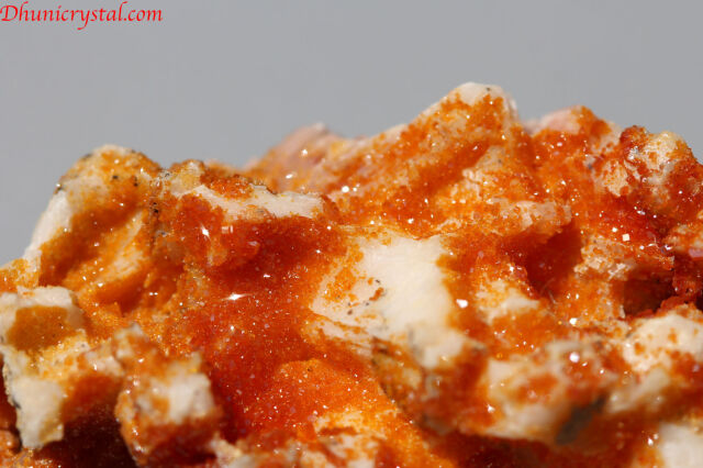 オレンジカルサイト