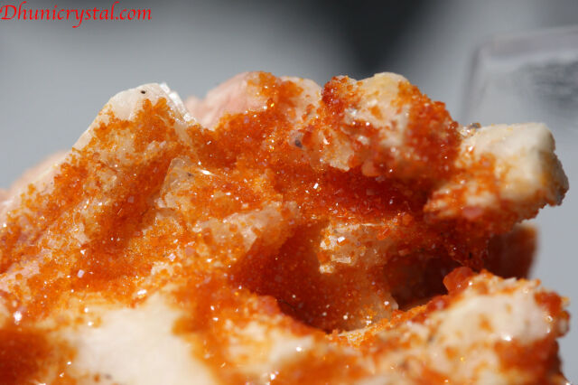 オレンジカルサイト