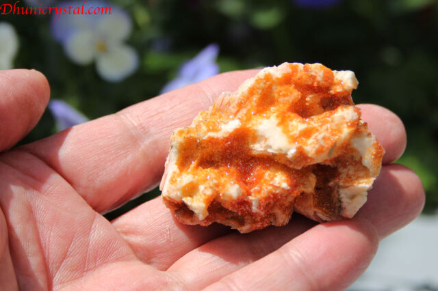 オレンジカルサイト