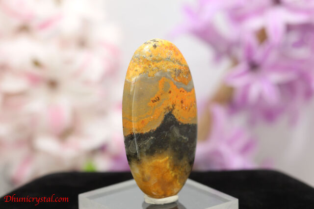 バンブルビージャスパー